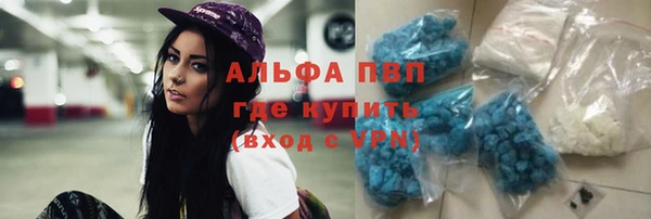 spice Баксан