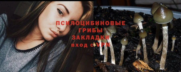 spice Баксан