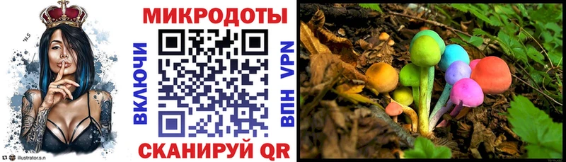 Галлюциногенные грибы мухоморы  Белая Холуница 
